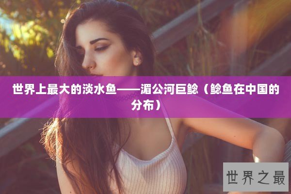 世界上最大的淡水鱼——湄公河巨鲶（鲶鱼在中国的分布）