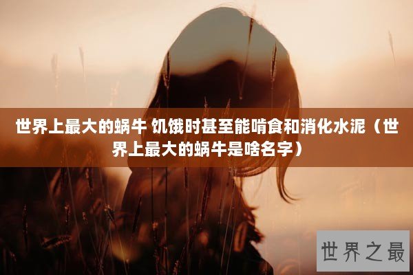 世界上最大的蜗牛 饥饿时甚至能啃食和消化水泥（世界上最大的蜗牛是啥名字）