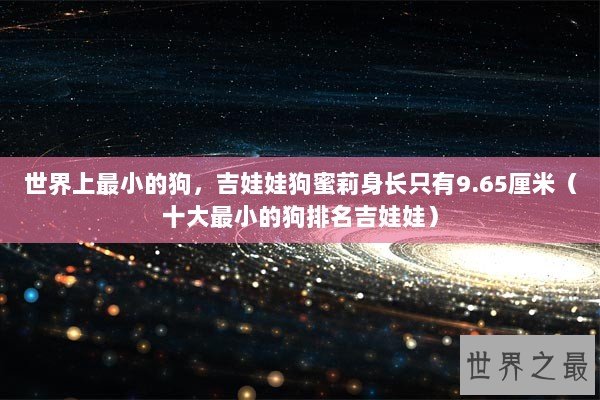 世界上最小的狗，吉娃娃狗蜜莉身长只有9.65厘米（十大最小的狗排名吉娃娃）