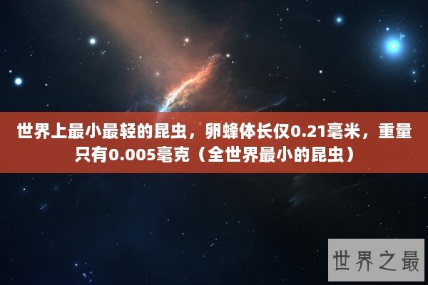 世界上最小最轻的昆虫，卵蜂体长仅0.21毫米，重量只有0.005毫克（全世界最小的昆虫）