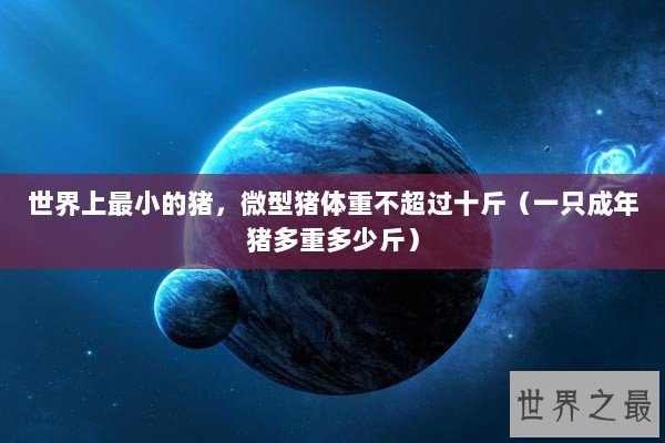 世界上最小的猪，微型猪体重不超过十斤（一只成年猪多重多少斤）