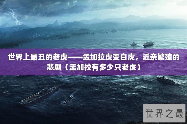 世界上最丑的老虎——孟加拉虎变白虎，近亲繁殖的悲剧（孟加拉有多少只老虎）