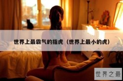 世界上最霸气的指虎（世界上最小的虎）