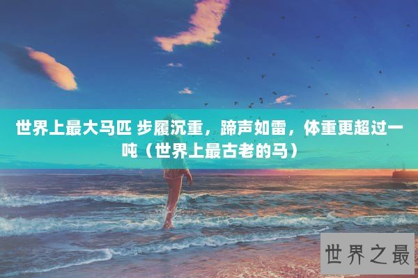 世界上最大马匹 步履沉重，蹄声如雷，体重更超过一吨（世界上最古老的马）