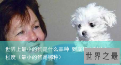 世界上最小的狗是什么品种 到底能小到什么程度（最小的狗是哪种）