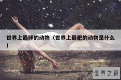 世界上最胖的动物（世界上最肥的动物是什么）