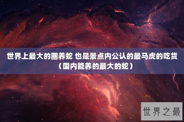 世界上最大的圈养蛇 也是景点内公认的最马虎的吃货（国内能养的最大的蛇）
