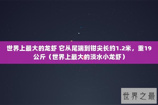 世界上最大的龙虾 它从尾端到钳尖长约1.2米，重19公斤（世界上最大的淡水小龙虾）