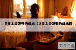 世界上最漂亮的蜘蛛（世界上最漂亮的蜘蛛网）