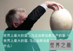 世界上最大的蛋，马达加斯加象鸟产的蛋（世界上最大的蛋,马达加斯加象鸟产的蛋是什么）