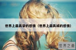 世界上最真挚的感情（世界上最真诚的感情）
