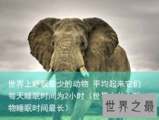 世界上睡眠最少的动物 平均起来它们每天睡眠时间为2小时（世界上什么动物睡眠时间最长）