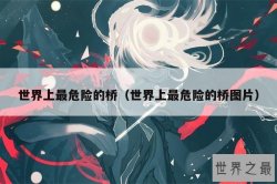 世界上最危险的桥（世界上最危险的桥图片）