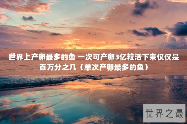 世界上产卵最多的鱼 一次可产卵3亿粒活下来仅仅是百万分之几（单次产卵最多的鱼）