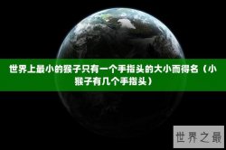 世界上最小的猴子只有一个手指头的大小而得名（小猴子有几个手指头）