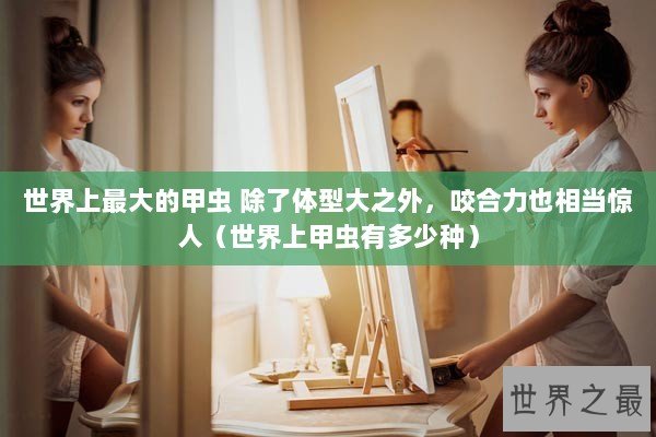 世界上最大的甲虫 除了体型大之外，咬合力也相当惊人（世界上甲虫有多少种）