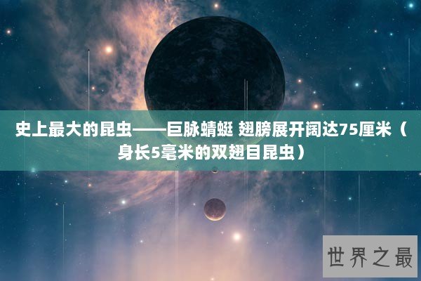 史上最大的昆虫——巨脉蜻蜓 翅膀展开阔达75厘米（身长5毫米的双翅目昆虫）