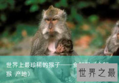 世界上最珍稀的猴子——食蟹猴（食蟹猴 产地）