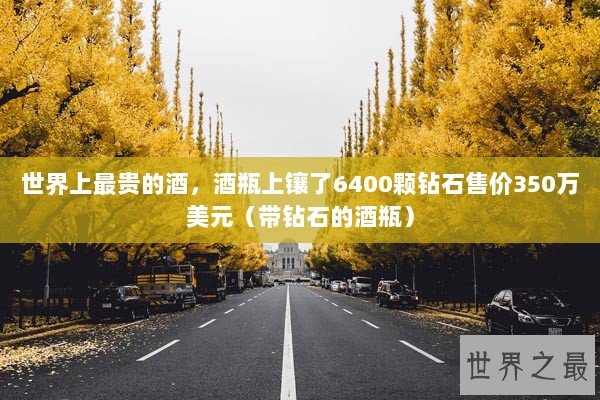世界上最贵的酒，酒瓶上镶了6400颗钻石售价350万美元（带钻石的酒瓶）