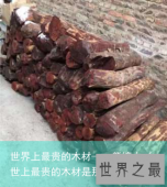 世界上最贵的木材——紫檀木（世上最贵的木材是那种）