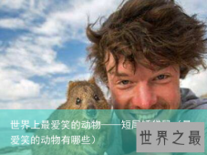 世界上最爱笑的动物——短尾矮袋鼠（最爱笑的动物有哪些）