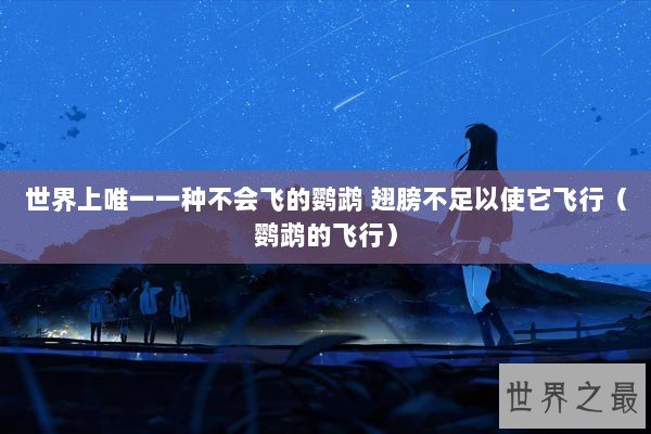 世界上唯一一种不会飞的鹦鹉 翅膀不足以使它飞行（鹦鹉的飞行）