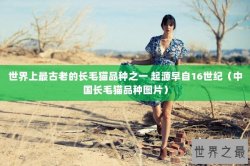 世界上最古老的长毛猫品种之一 起源早自16世纪（中国长毛猫品种图片）