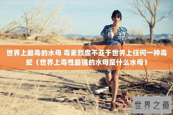 世界上最毒的水母 毒素烈度不亚于世界上任何一种毒蛇（世界上毒性最强的水母是什么水母）