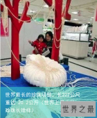 世界最长的珍珠项链，长222公尺重达 20.2公斤（世界上最大的珍珠长啥样）