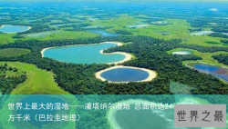 世界上最大的湿地——潘塔纳尔湿地 总面积达24.2万平方千米（巴拉圭地理）
