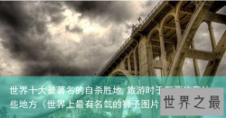 世界十大最著名的自杀胜地 旅游时千万要注意这些地方（世界上最有名气的狮子图片）