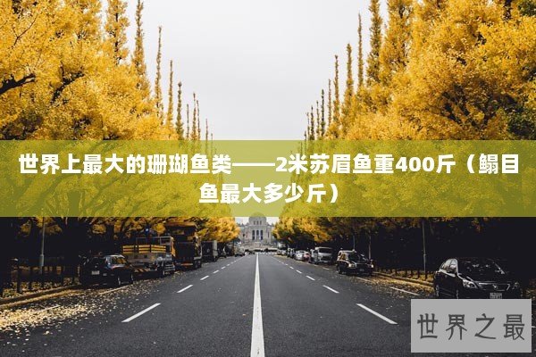 世界上最大的珊瑚鱼类——2米苏眉鱼重400斤（鳎目鱼最大多少斤）