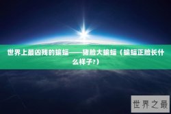 世界上最凶残的蝙蝠——猪脸大蝙蝠（蝙蝠正脸长什么样子?）