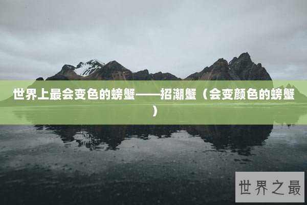 世界上最会变色的螃蟹——招潮蟹（会变颜色的螃蟹）
