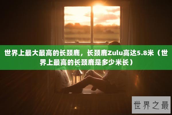 世界上最大最高的长颈鹿，长颈鹿Zulu高达5.8米（世界上最高的长颈鹿是多少米长）