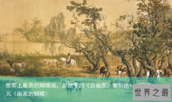 世界上最贵的蝴蝶画，郎世宁的《百骏图》售价达1.67万美元（画家的蝴蝶）