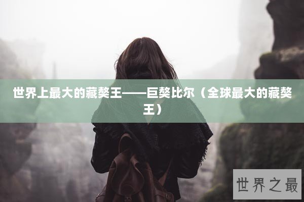 世界上最大的藏獒王——巨獒比尔（全球最大的藏獒王）