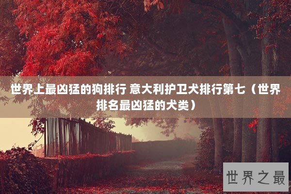 世界上最凶猛的狗排行 意大利护卫犬排行第七（世界排名最凶猛的犬类）