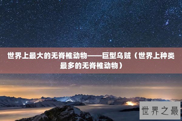 世界上最大的无脊椎动物——巨型乌贼（世界上种类最多的无脊椎动物）