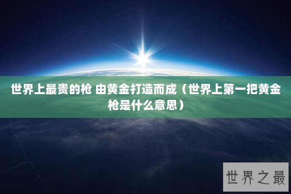 世界上最贵的枪 由黄金打造而成（世界上第一把黄金枪是什么意思）