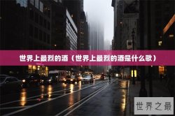 世界上最烈的酒（世界上最烈的酒是什么歌）