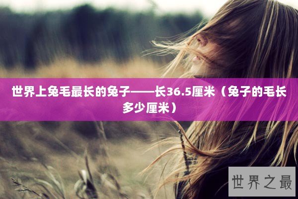 世界上兔毛最长的兔子——长36.5厘米（兔子的毛长多少厘米）