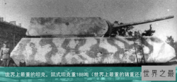 世界上最重的坦克，鼠式坦克重188吨（世界上最重的猪重还是牛重）
