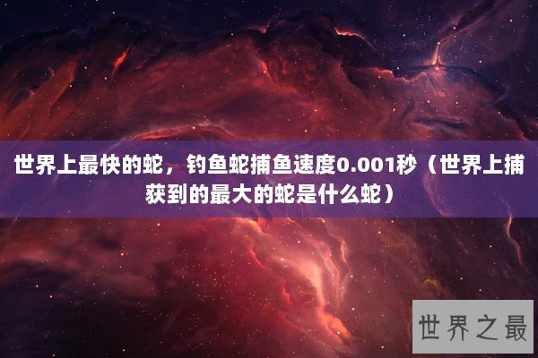 世界上最快的蛇，钓鱼蛇捕鱼速度0.001秒（世界上捕获到的最大的蛇是什么蛇）