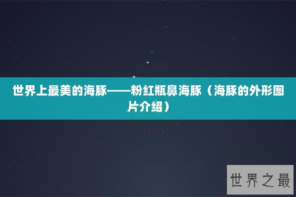 世界上最美的海豚——粉红瓶鼻海豚(海豚的外形图片介绍) 世界上最美的海豚——粉红瓶鼻海豚(海豚的外形图片介绍)