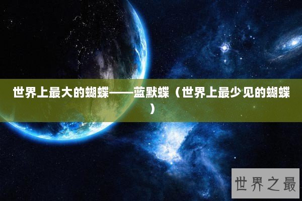 世界上最大的蝴蝶——蓝默蝶（世界上最少见的蝴蝶）