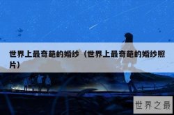 世界上最奇葩的婚纱（世界上最奇葩的婚纱照片）