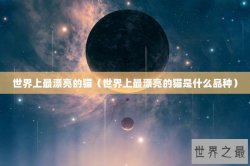 世界上最漂亮的猫（世界上最漂亮的猫是什么品种）