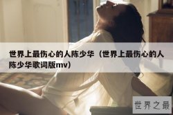 世界上最伤心的人陈少华（世界上最伤心的人陈少华歌词版mv）