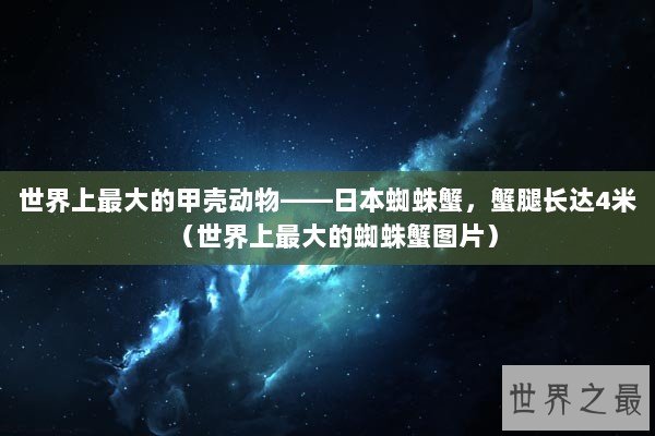 世界上最大的甲壳动物——日本蜘蛛蟹，蟹腿长达4米（世界上最大的蜘蛛蟹图片）